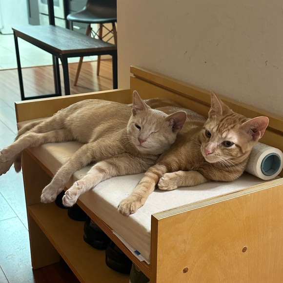 Meet your Posher, Natalie - Picture 1 of 1